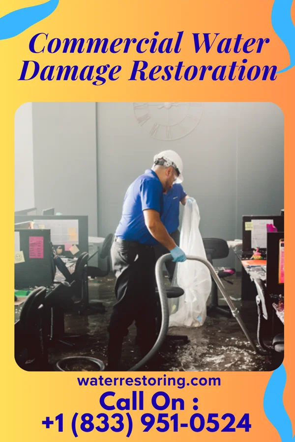 Commercial Water Damage Restoration in Otsego, MN